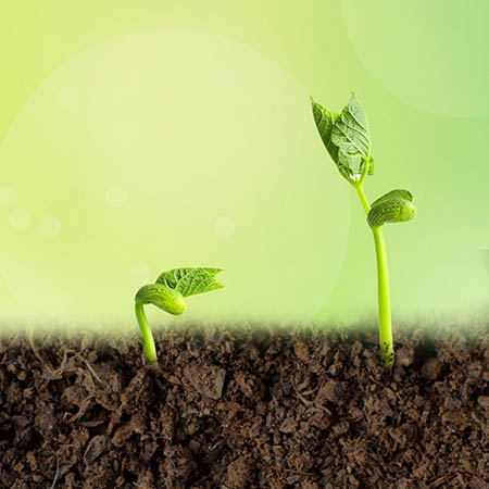 贝博官网官方网站植物源生物贝博bb平台登录让土壤更健康