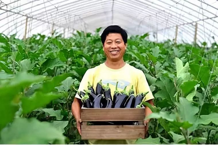 中国农业正在面临大转型
