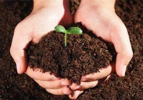 生物有机肥是主要来源于动植物残体或粪便