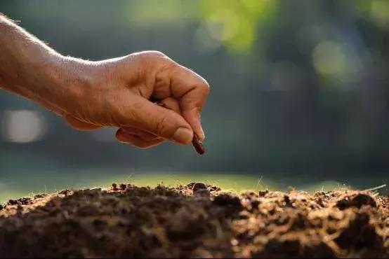 土壤中的微量元素95%以不溶态形式存在