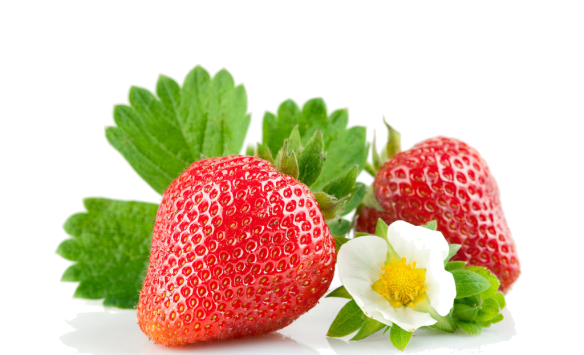 草莓花期管理措施